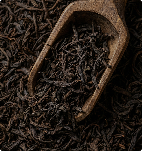 Çay Nasıl Hazır Hale Gelir?