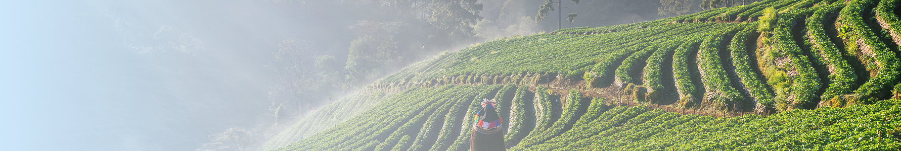 Corporate Banner Background